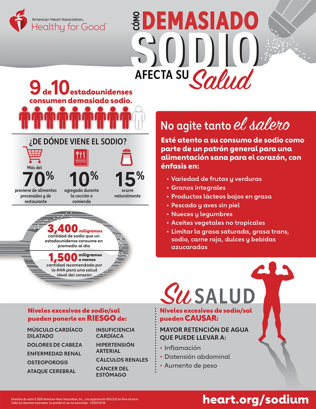 Effects of Excess Sodium Infographic Spanish