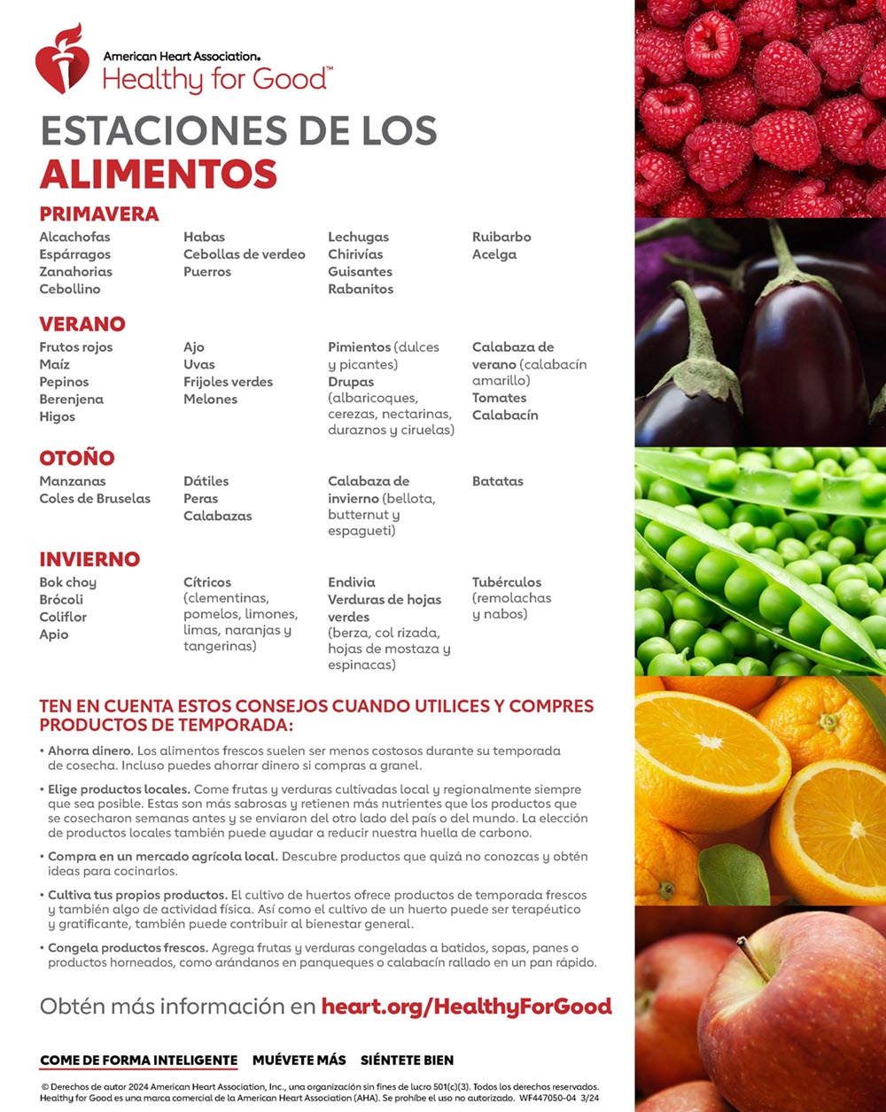 ALIMENTOS DE TEMPORADA