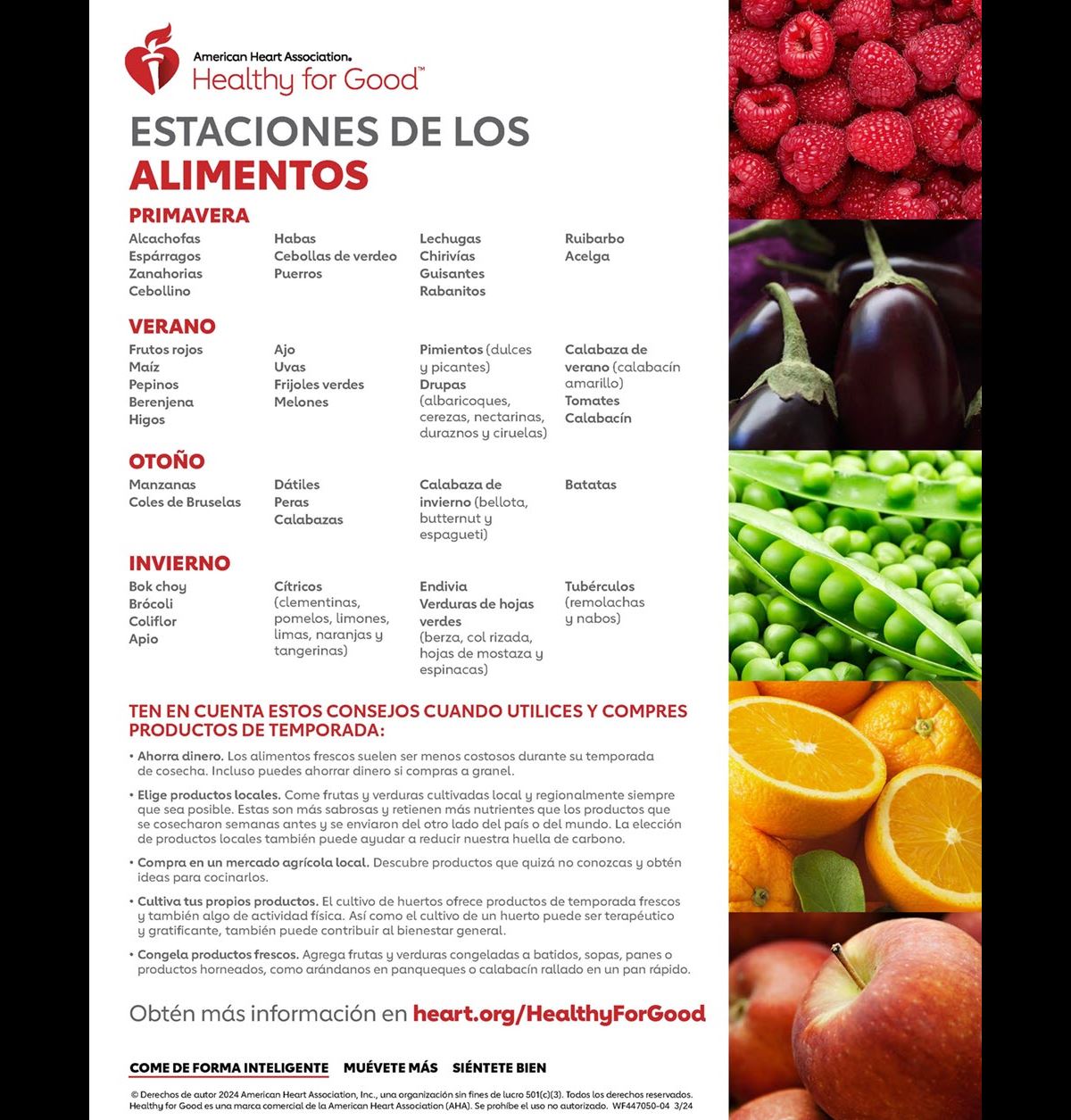 ALIMENTOS DE TEMPORADA