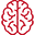 brain icon