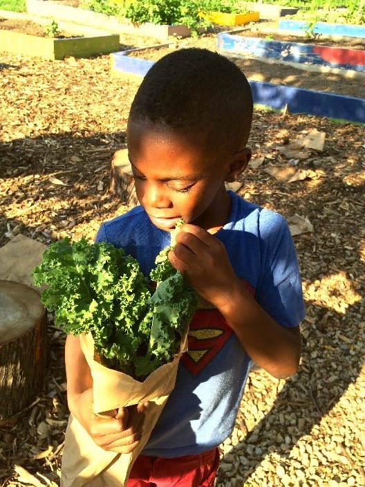 Young boy with vegitables