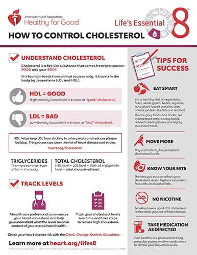 How to Control Cholesterol