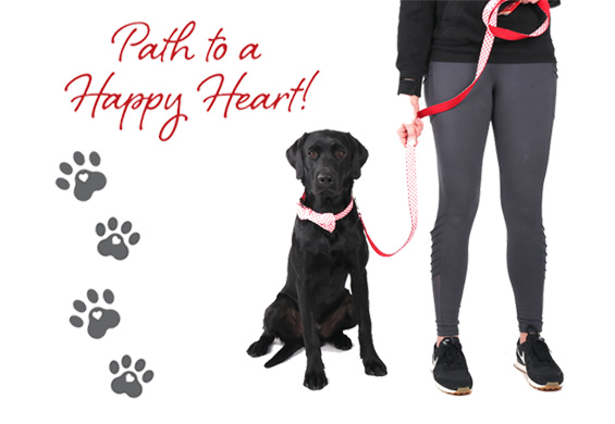 Pets path to healthy heart AHA collar leash Pets path to healthy heart AHA collar leash