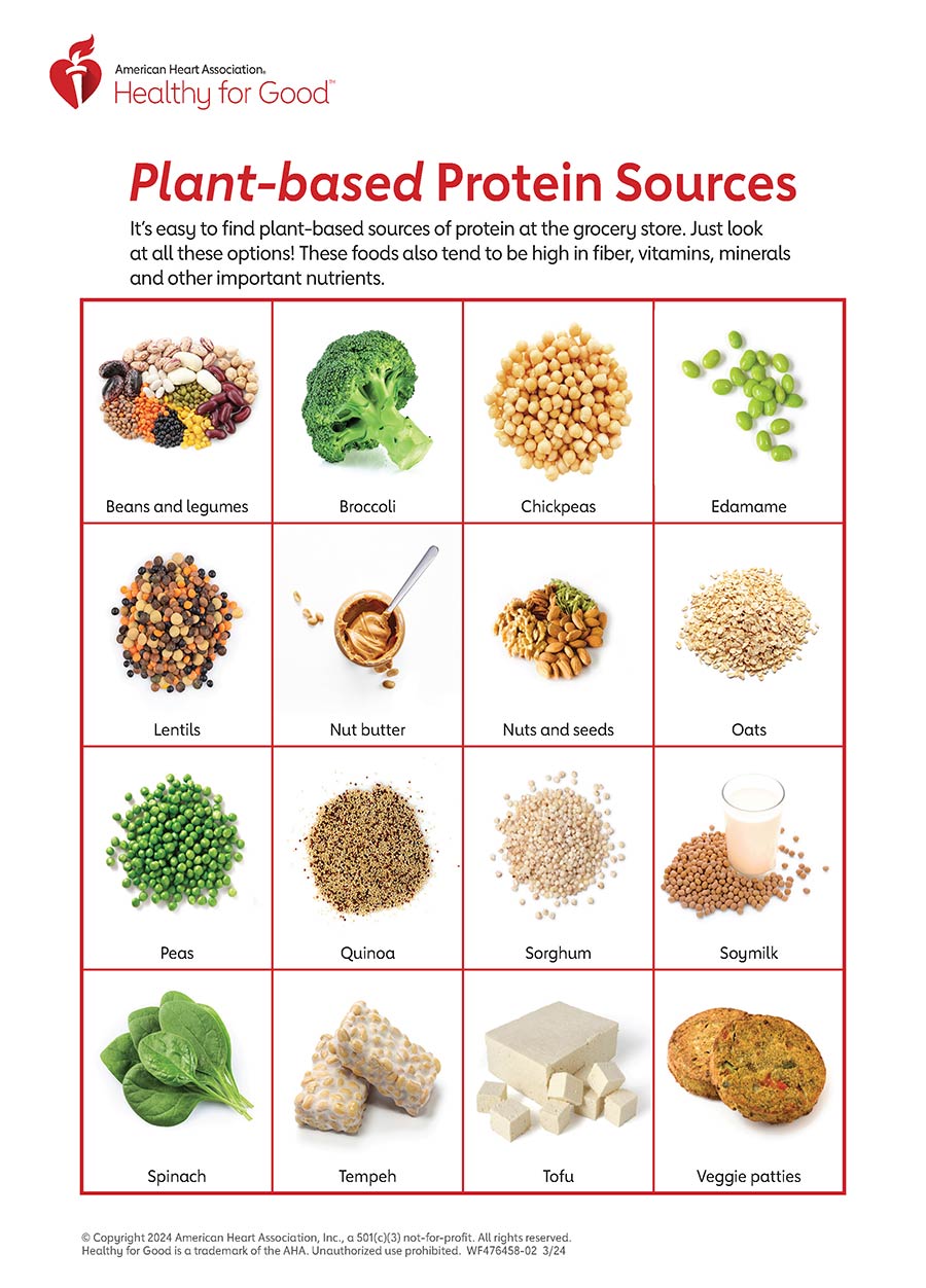 Plant Based Protein Infographic American Stroke Association