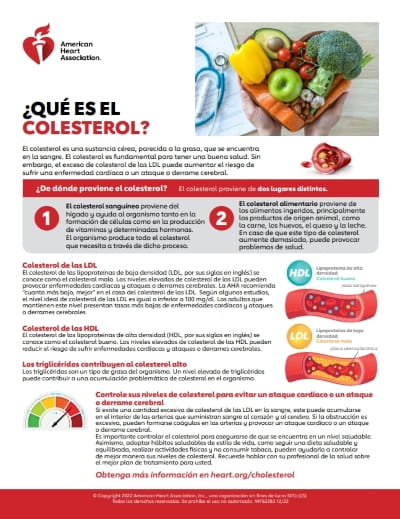 Que es el colesterol infographic