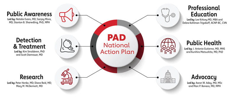PAD Action Plan summary