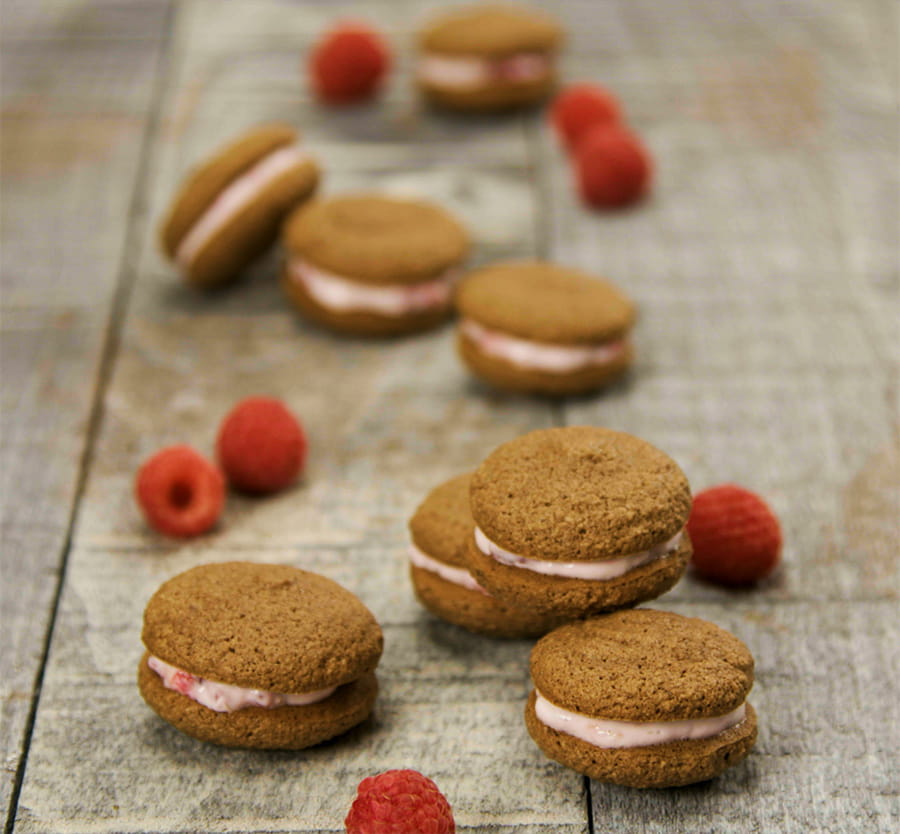 raspberry mini chocolate macaroons