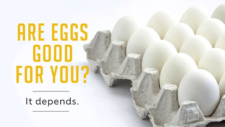 Are Eggs Good For You? video short