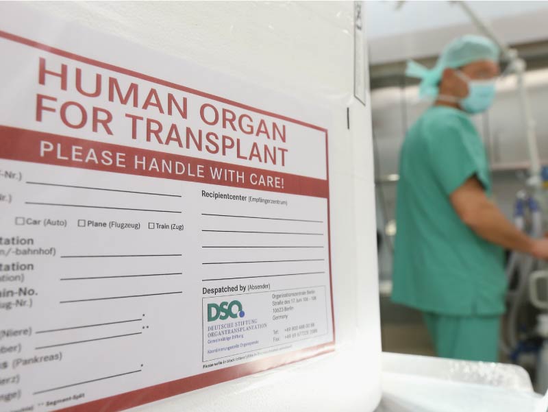 Human organ for transplant.