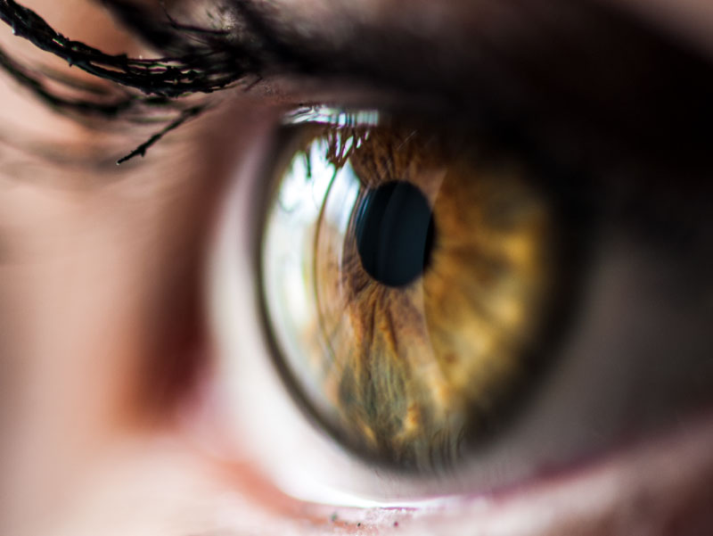 Close-up of woman's eye. (Pixelaway, Envato Elements)