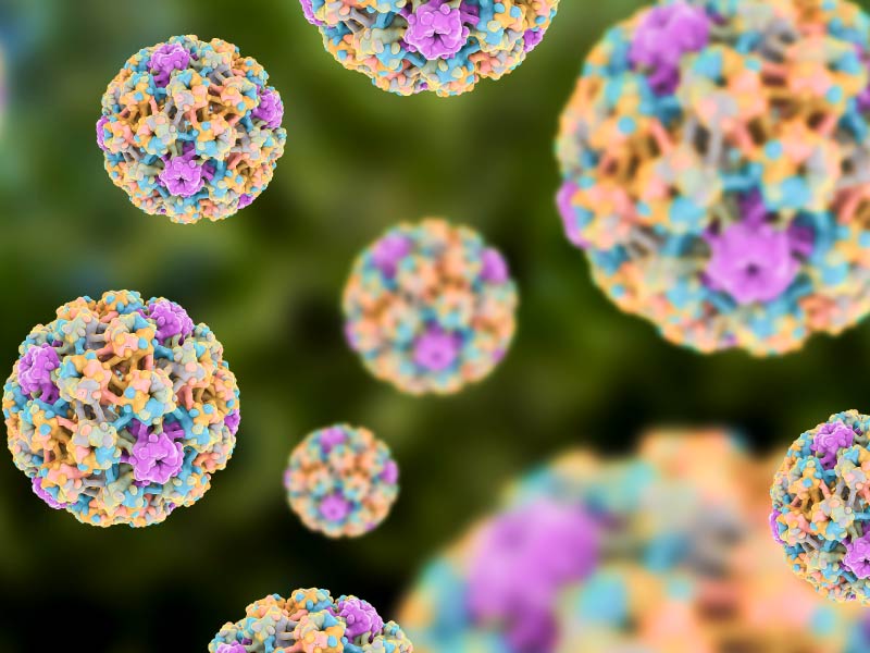 HPV virus. (Kateryna Kon/Science Photo  Library, Getty Images)
