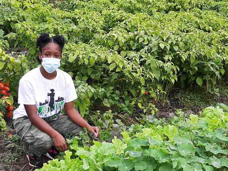 Urban Farming Institute volunteer Latisha Wade. (Photo courtesy of Pat Spence)