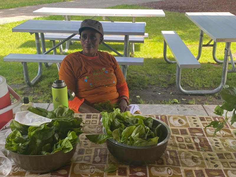 Veronica Karanja selling managu, a leafy green from Kenya, at East Hill Farmers Market in Kent, Washington. (Photo courtesy of Living Well Kent)