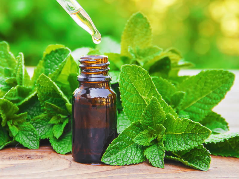 8 Reasons for Losing Interest in Work - Smell the Mint Leaves