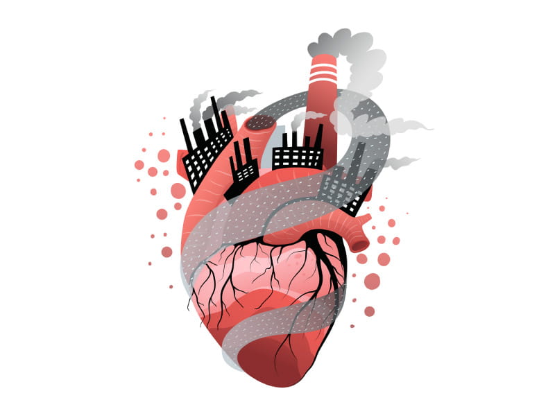 https://www.stroke.org/-/media/Images/News/2022/September-2022/0914RRAirPollutionArrhythmia_SC.jpg