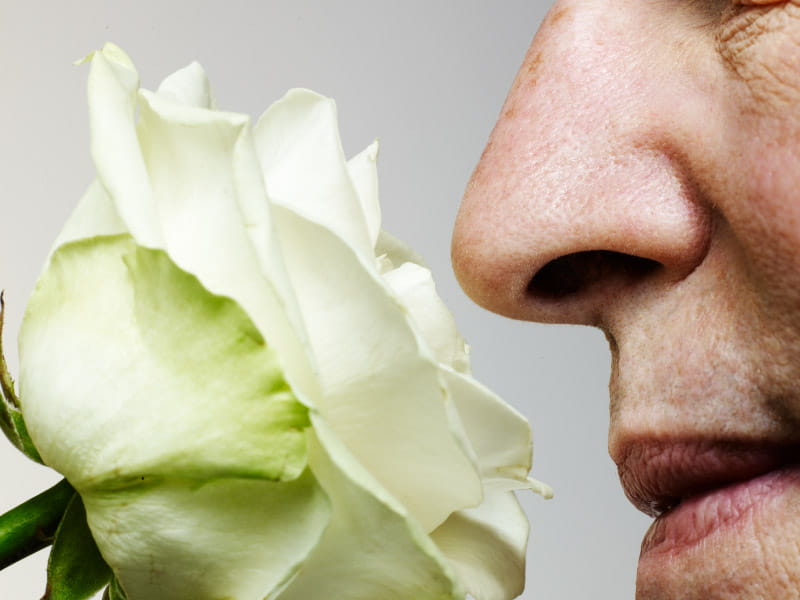 Can losing your sense of smell predict heart failure? American Stroke Can losing your sense of smell predict heart failure? American Stroke