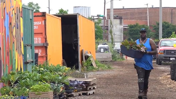 Chicago Urban Growers Collective video clip