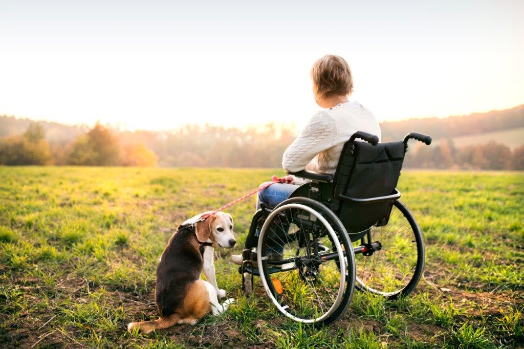 woman in wheel chair with her dog beside her