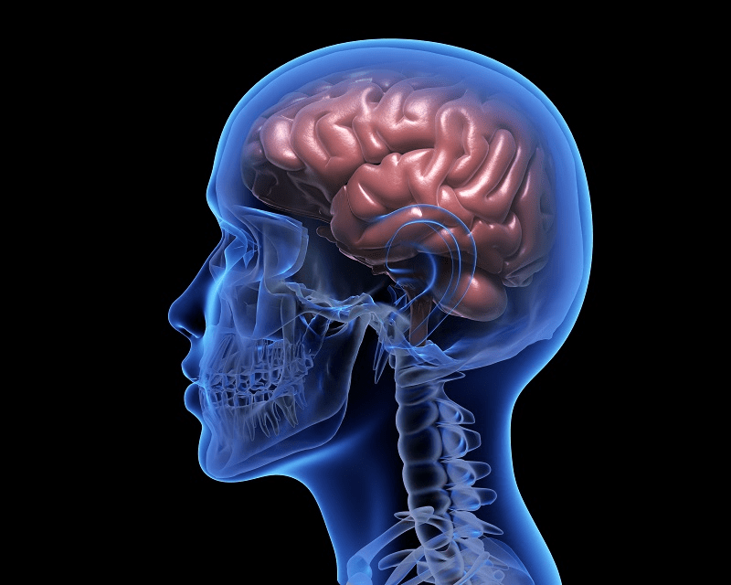 Let’s Talk About Stroke Fact Sheets | American Stroke Association