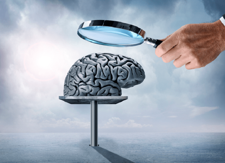 magnifying glass and brain
