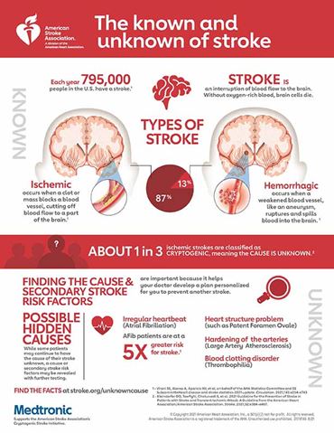 The Known and Unknown of Stroke Infographic | American Stroke Association