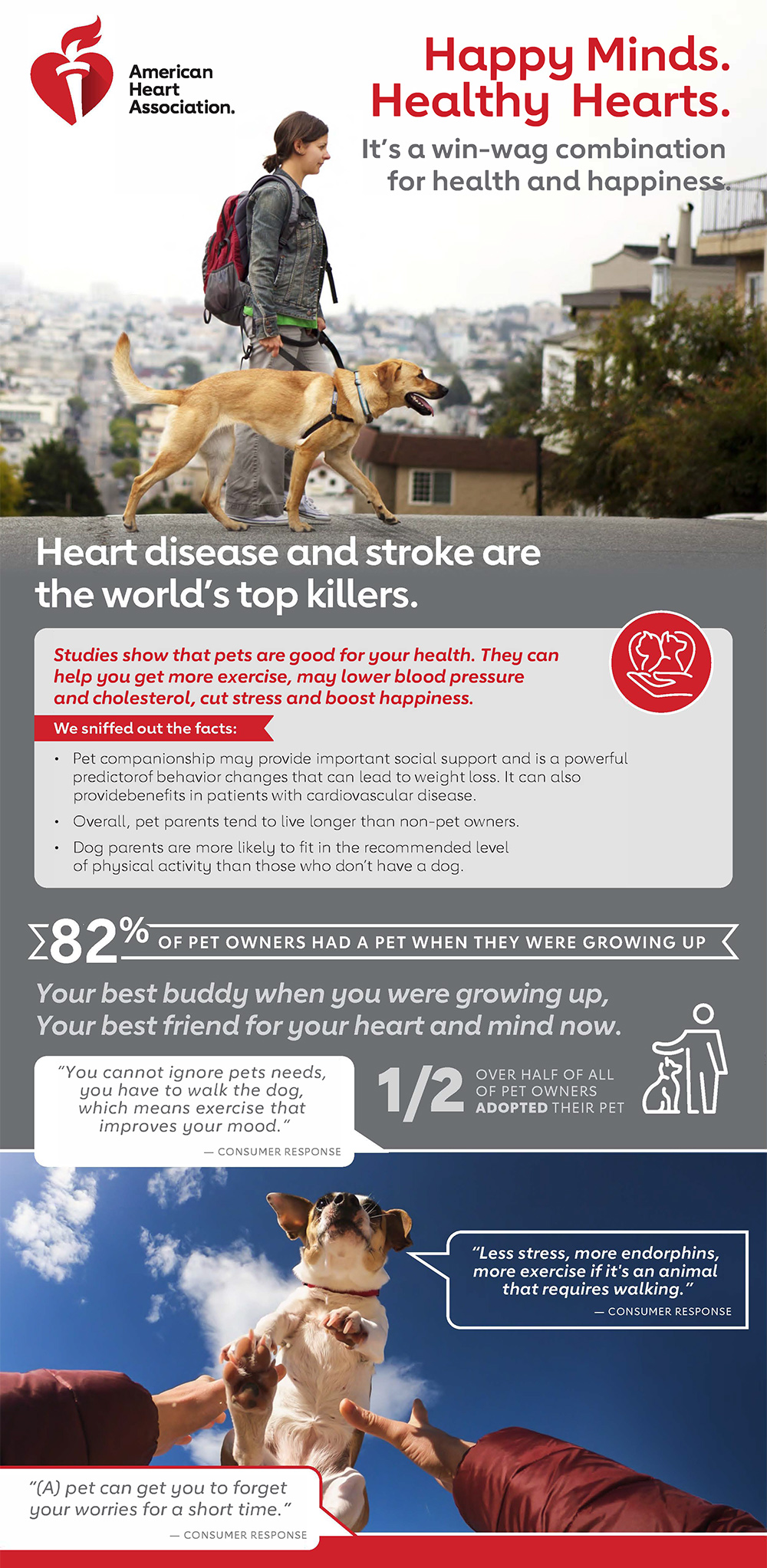 Happy Minds Healthy Hearts Infographic