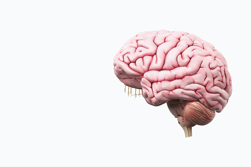 brain stem stroke brain stem stroke
