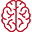 brain icon