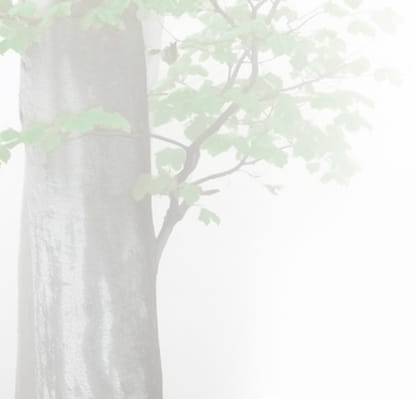 A digital watercolor illustration of a tree trunk section with a branch and leaves.