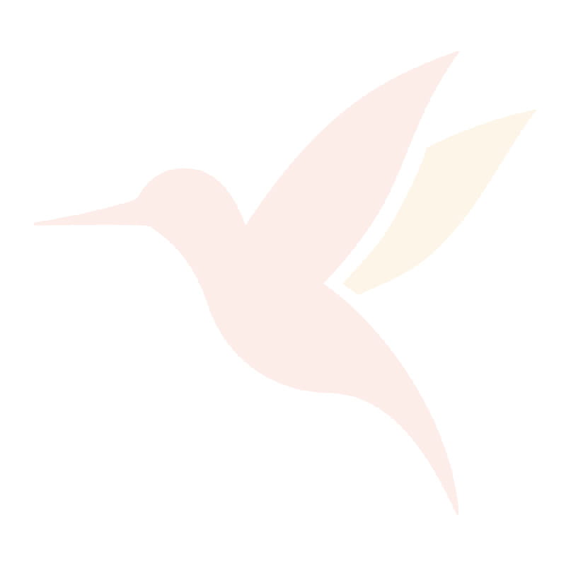 Champion the Challenges™ hummingbird logo icon